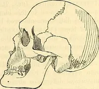 An illustration from Indigenous races of the earth; (1857)