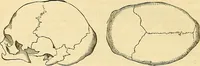 An illustration from Indigenous races of the earth; (1857)