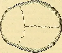 Picture 120 of 179 from Indigenous races of the earth; (1857), leaf 321