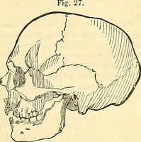 An illustration from Indigenous races of the earth; (1857)
