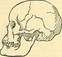An illustration from Indigenous races of the earth; (1857)