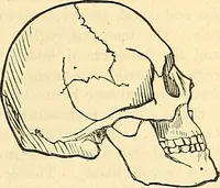 An illustration from Indigenous races of the earth; (1857)