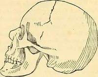 An illustration from Indigenous races of the earth; (1857)