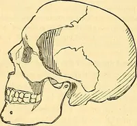 An illustration from Indigenous races of the earth; (1857)
