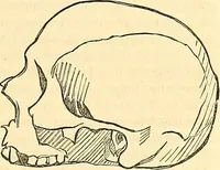 An illustration from Indigenous races of the earth; (1857)