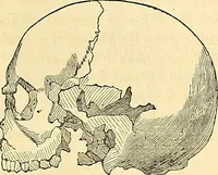 An illustration from Indigenous races of the earth; (1857)
