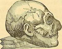 An illustration from Indigenous races of the earth; (1857)