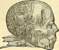An illustration from Indigenous races of the earth; (1857)