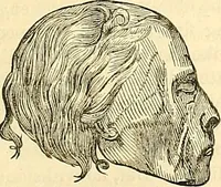 An illustration from Indigenous races of the earth; (1857)