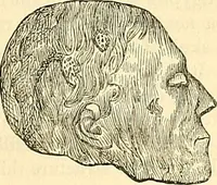 An illustration from Indigenous races of the earth; (1857)