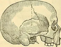 Picture 141 of 179 from Indigenous races of the earth; (1857), leaf 349