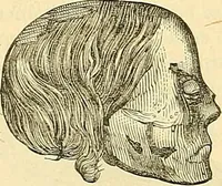 An illustration from Indigenous races of the earth; (1857)