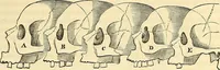 An illustration from Indigenous races of the earth; (1857)