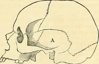 An illustration from Indigenous races of the earth; (1857)