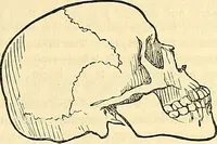 Picture 146 of 179 from Indigenous races of the earth; (1857), leaf 352