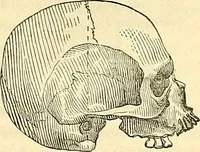 Picture 148 of 179 from Indigenous races of the earth; (1857), leaf 358