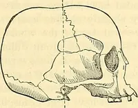 An illustration from Indigenous races of the earth; (1857)