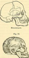 Picture 151 of 179 from Indigenous races of the earth; (1857), leaf 358