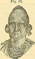 Picture 154 of 179 from Indigenous races of the earth; (1857), leaf 361