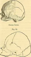 Picture 155 of 179 from Indigenous races of the earth; (1857), leaf 364
