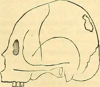 Picture 156 of 179 from Indigenous races of the earth; (1857), leaf 364