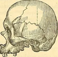 Picture 158 of 179 from Indigenous races of the earth; (1857), leaf 364