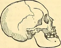 An illustration from Indigenous races of the earth; (1857)