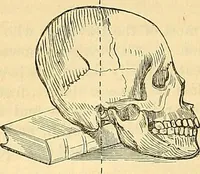 An illustration from Indigenous races of the earth; (1857)