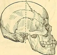 An illustration from Indigenous races of the earth; (1857)