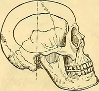 An illustration from Indigenous races of the earth; (1857)