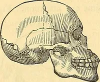 An illustration from Indigenous races of the earth; (1857)