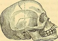 An illustration from Indigenous races of the earth; (1857)