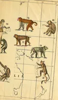 An illustration from Indigenous races of the earth; (1857)