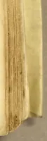 Picture 17 of 26 from In Dioscoridis Anazarbei De materia medica libros quinque, (1558), leaf 571