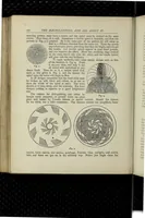 Picture 1 of 17 from Indoor games and recreations : a popular encyclopædia for boys (1888), leaf 0