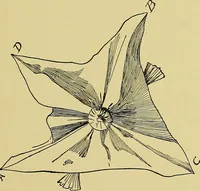 An illustration from Indoor and outdoor handicraft and recreation for girls (1904)