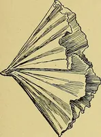 An illustration from Indoor and outdoor handicraft and recreation for girls (1904)