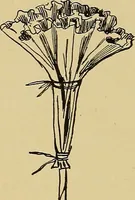 An illustration from Indoor and outdoor handicraft and recreation for girls (1904)