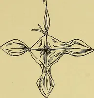 An illustration from Indoor and outdoor handicraft and recreation for girls (1904)