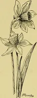 An illustration from Indoor and outdoor handicraft and recreation for girls (1904)