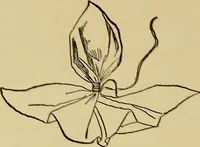 An illustration from Indoor and outdoor handicraft and recreation for girls (1904)
