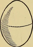 An illustration from Indoor and outdoor handicraft and recreation for girls (1904)