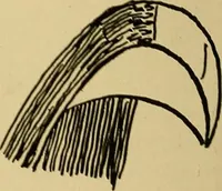 An illustration from Indoor and outdoor handicraft and recreation for girls (1904)