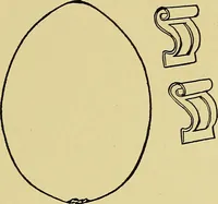 An illustration from Indoor and outdoor handicraft and recreation for girls (1904)