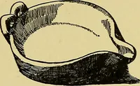 An illustration from Indoor and outdoor handicraft and recreation for girls (1904)