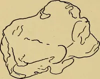 An illustration from Indoor and outdoor handicraft and recreation for girls (1904)