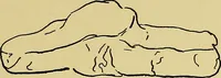 An illustration from Indoor and outdoor handicraft and recreation for girls (1904)