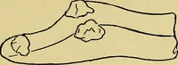 An illustration from Indoor and outdoor handicraft and recreation for girls (1904)