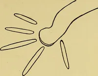 An illustration from Indoor and outdoor handicraft and recreation for girls (1904)