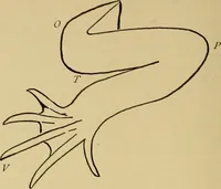 An illustration from Indoor and outdoor handicraft and recreation for girls (1904)